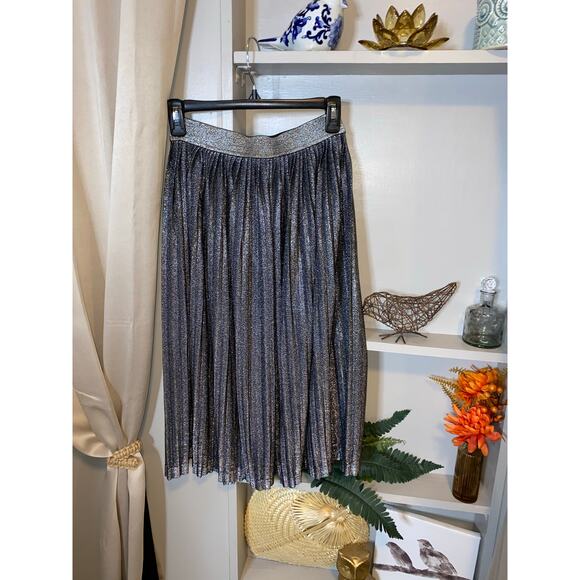 The Limited NWT $99 Silver Metallic size Small Elastic Waist Formal Flowy Skirt - Picture 1 of 10